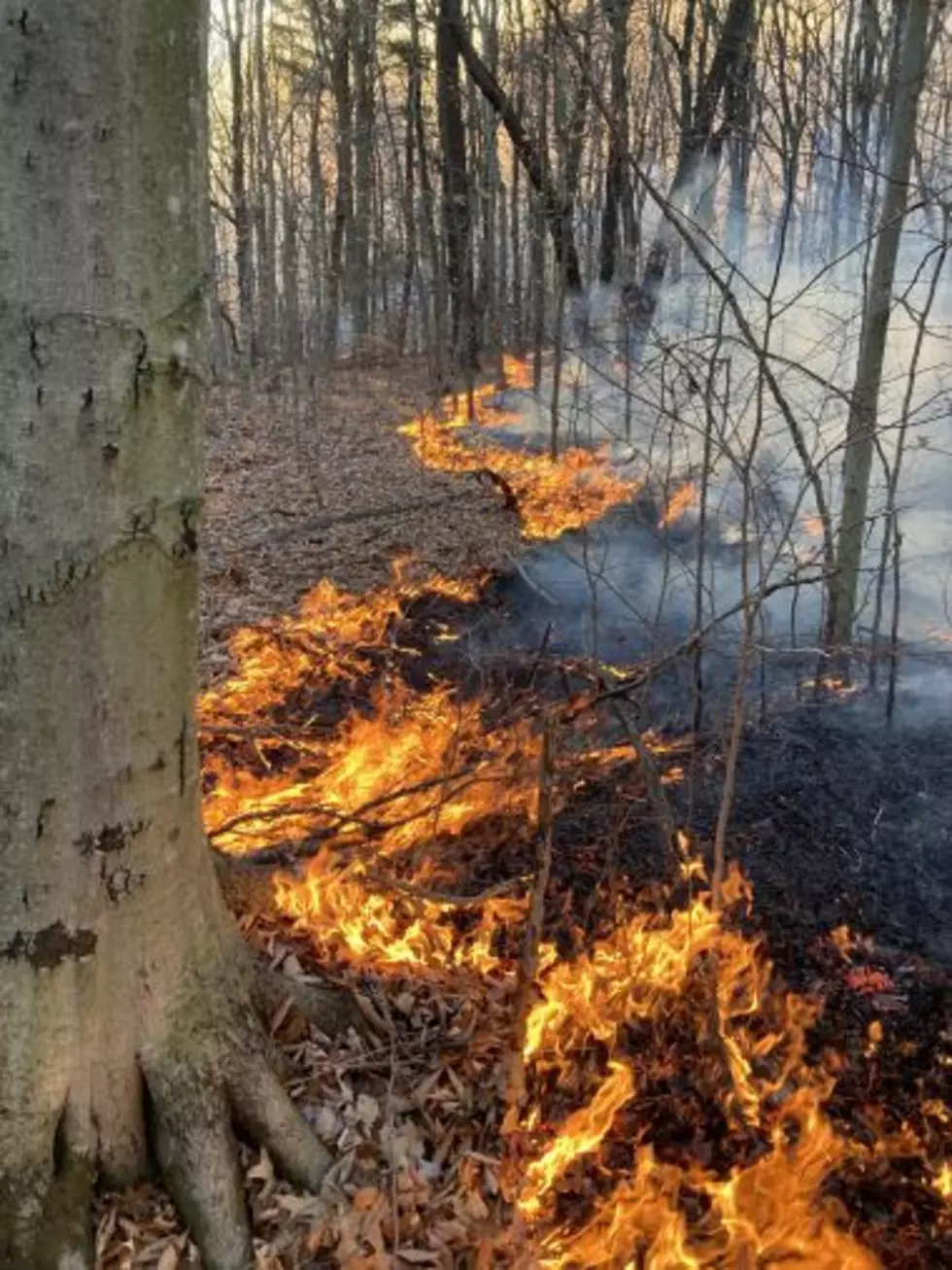 8 Wild Fires Reported Across Hudson Valley, New York State