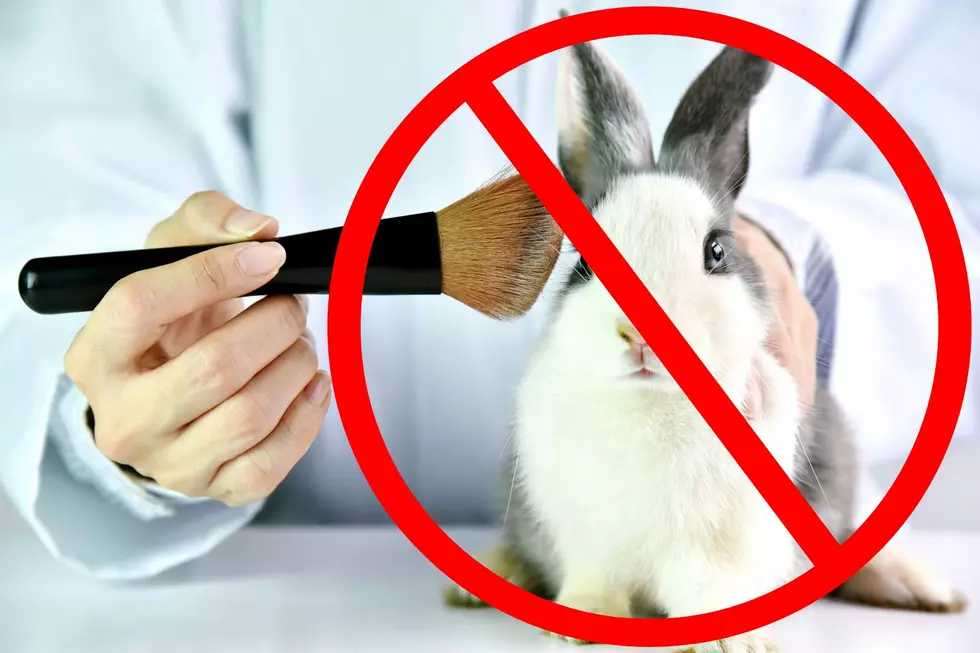 New York to Ban This Harmful Cosmetic Production Practice Come January