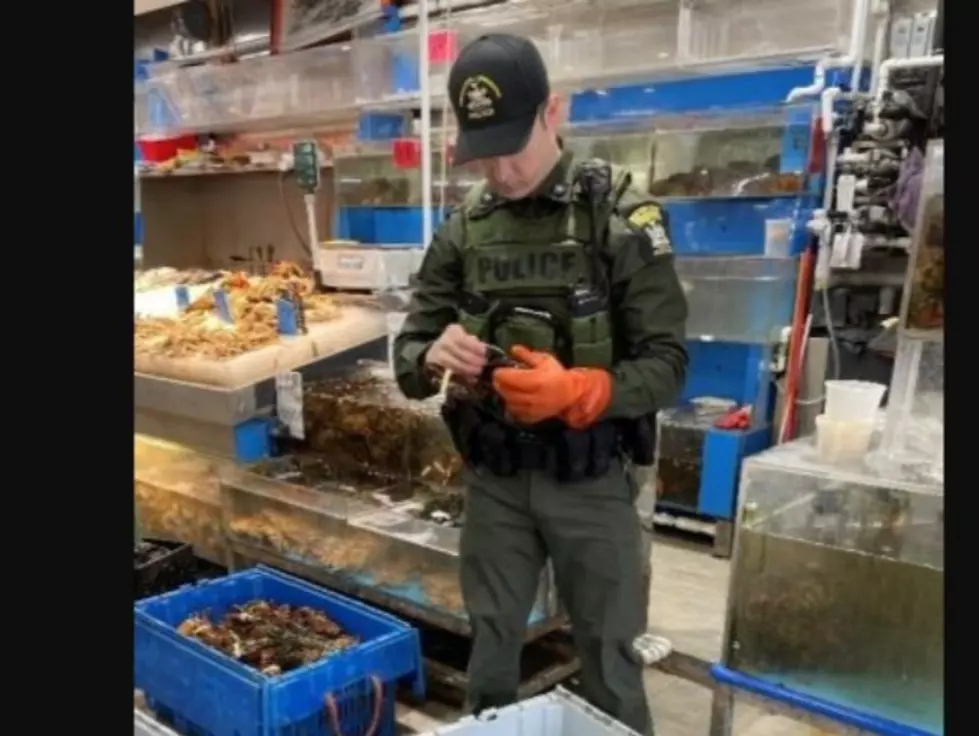 2 New York State Supermarkets Caught Selling Illegal Seafood