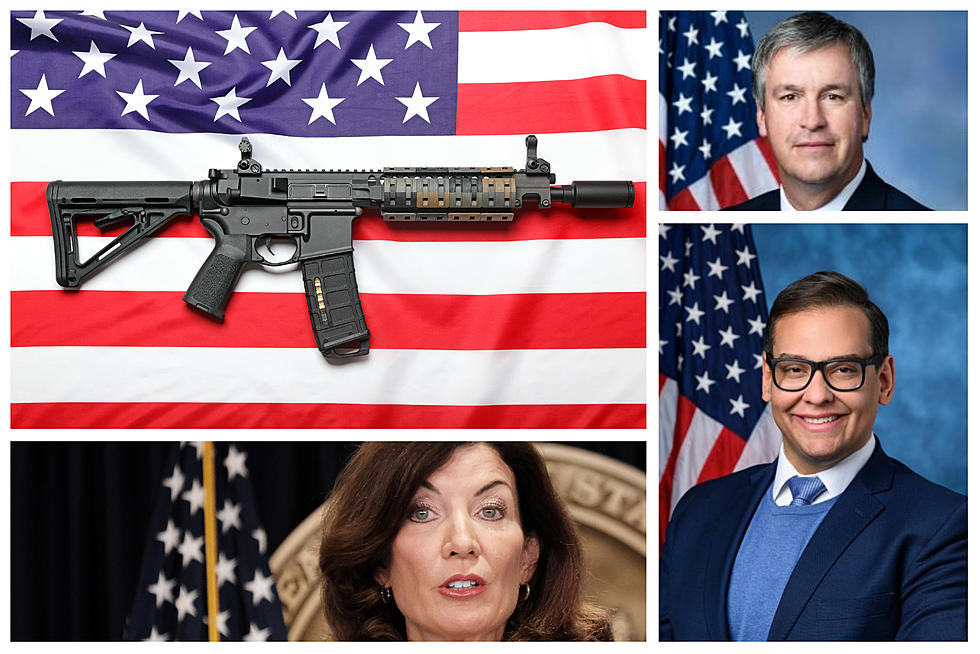New York Lawmaker Wants To Make AR-15 The ‘National Gun’ Of America