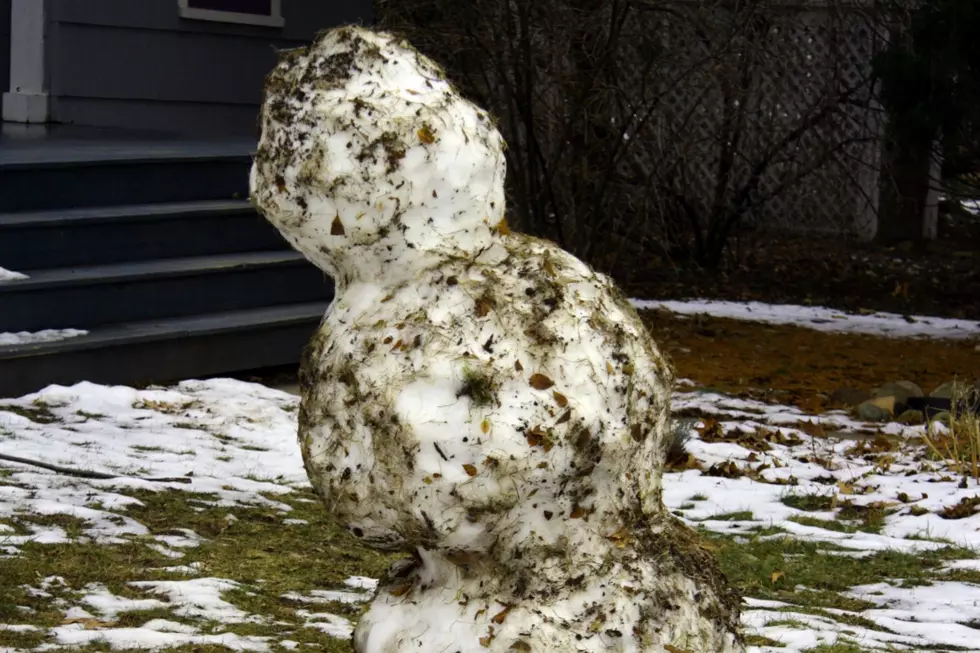 Upstate New York School Under Fire Over &#8220;Racist Snowman&#8221; Post