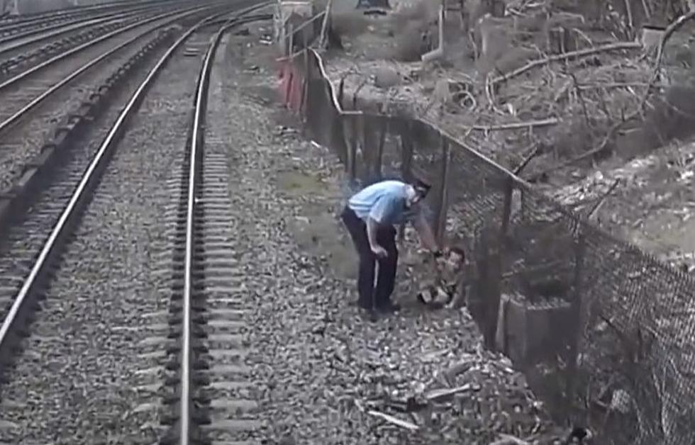 Must See ‘Daring Rescue’ 3-Year-Old Pulled From Electrified Train Tracks In Hudson Valley