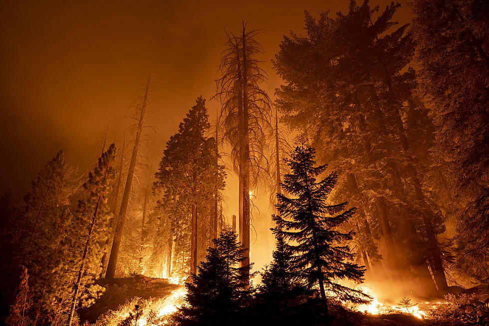 Wildfires From Canada Creating Weird Conditions In New York