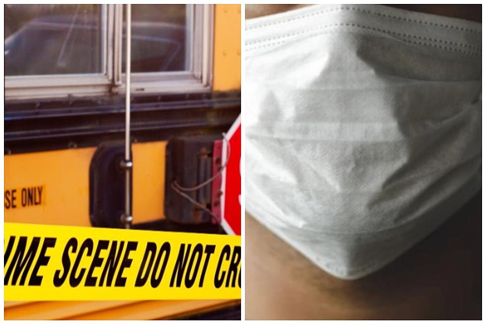 Hudson Valley Girl Removed From School Bus By 3 Wearing Masks