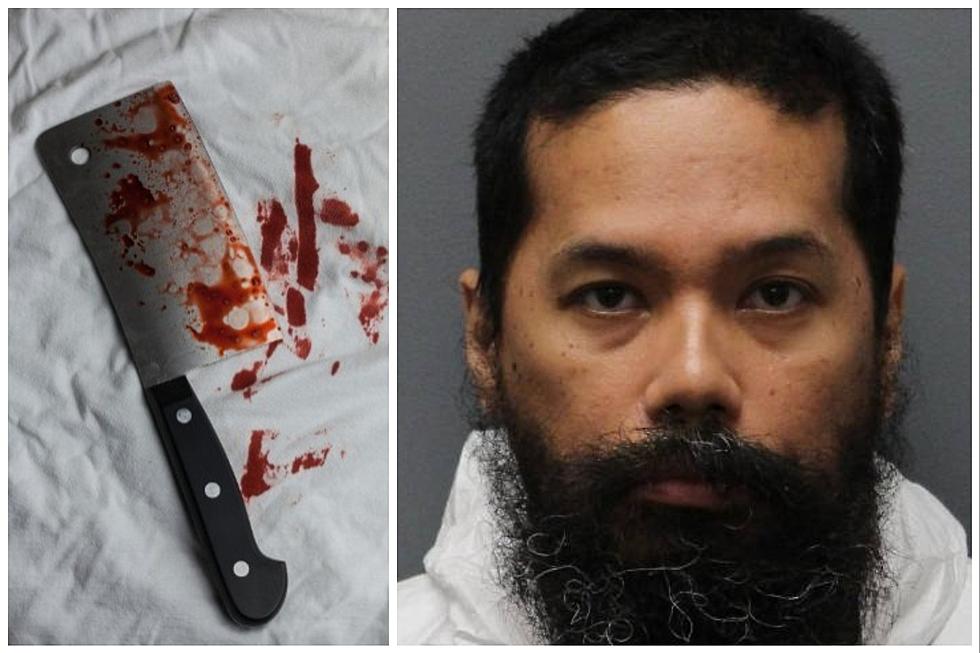 PD: Hudson Valley Son Murdered Elderly New York Father With Meat Cleaver