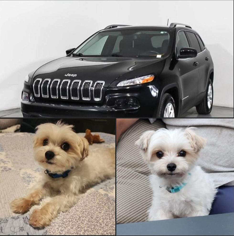 Jeep Stolen In Upstate New York With Beloved Pet Inside