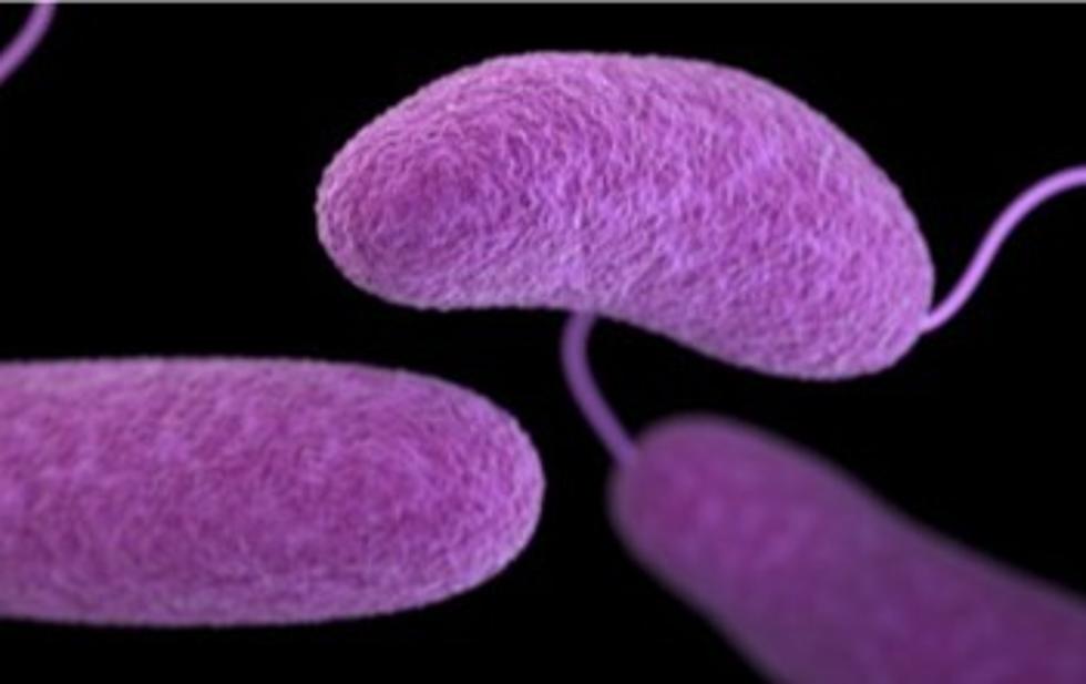 Warning: New York State Resident Dies From Rare Flesh-Eating Bacteria