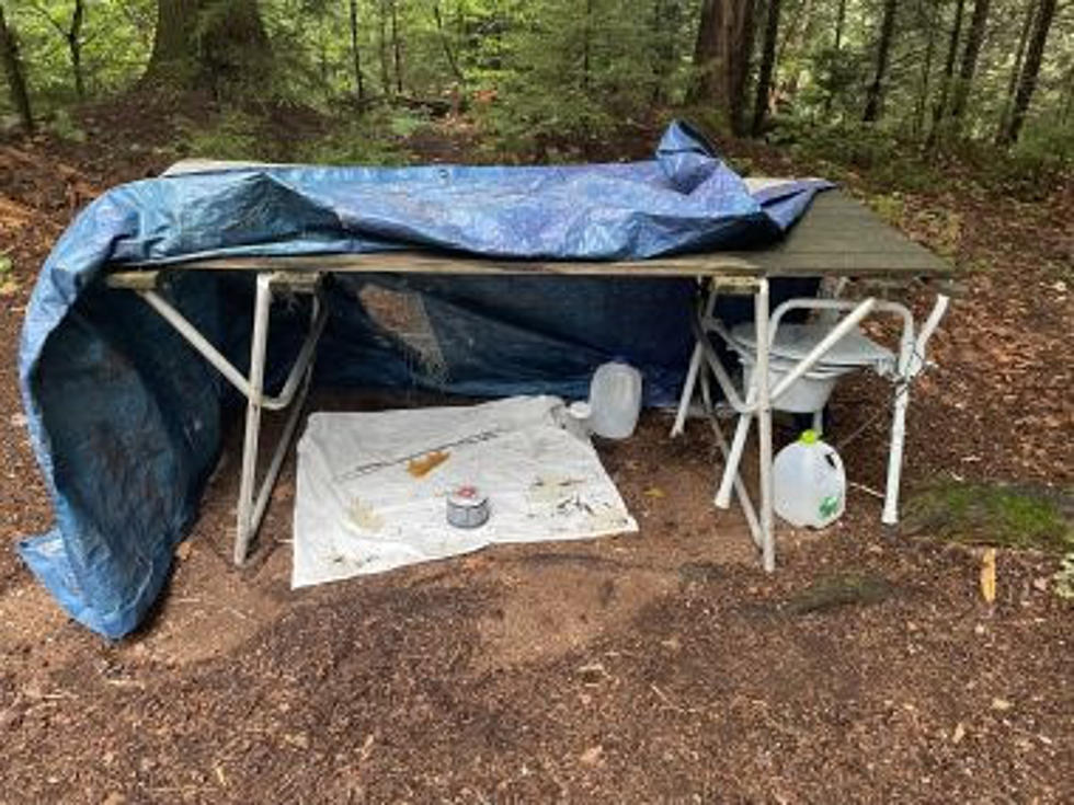 Wanted Upstate New York Man Found Hiding, Camping On State Land