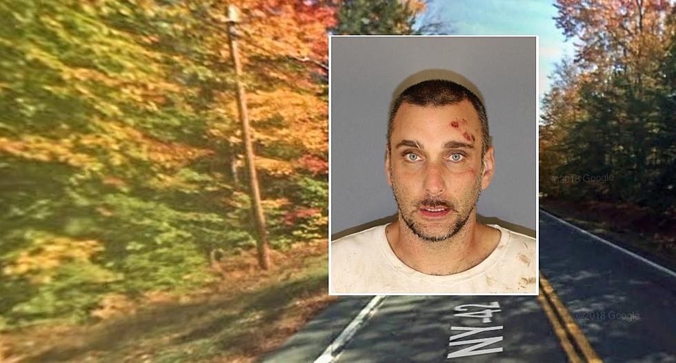 Overdosing Man Crashes Car In Upstate New York and Bites Cop, Charges Say