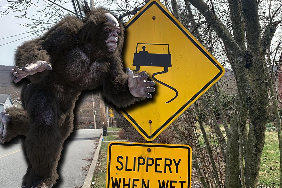 This Quirky Fishkill, NY Sign Looks Like a Bigfoot Crossing