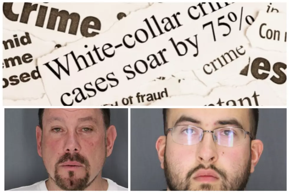 Bail Reform: Upstate New York White Collar Crime Suspects Arrested, Released