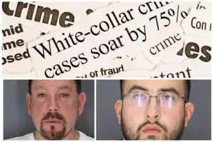 Bail Reform: Upstate New York White Collar Crime Suspects Arrested,...