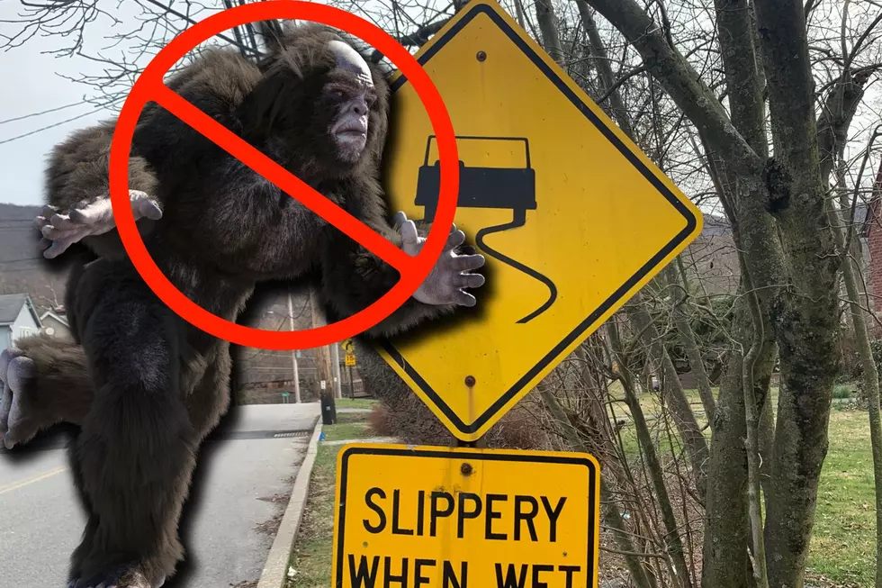 Bigfoot No Longer Crossing Fishkill Road