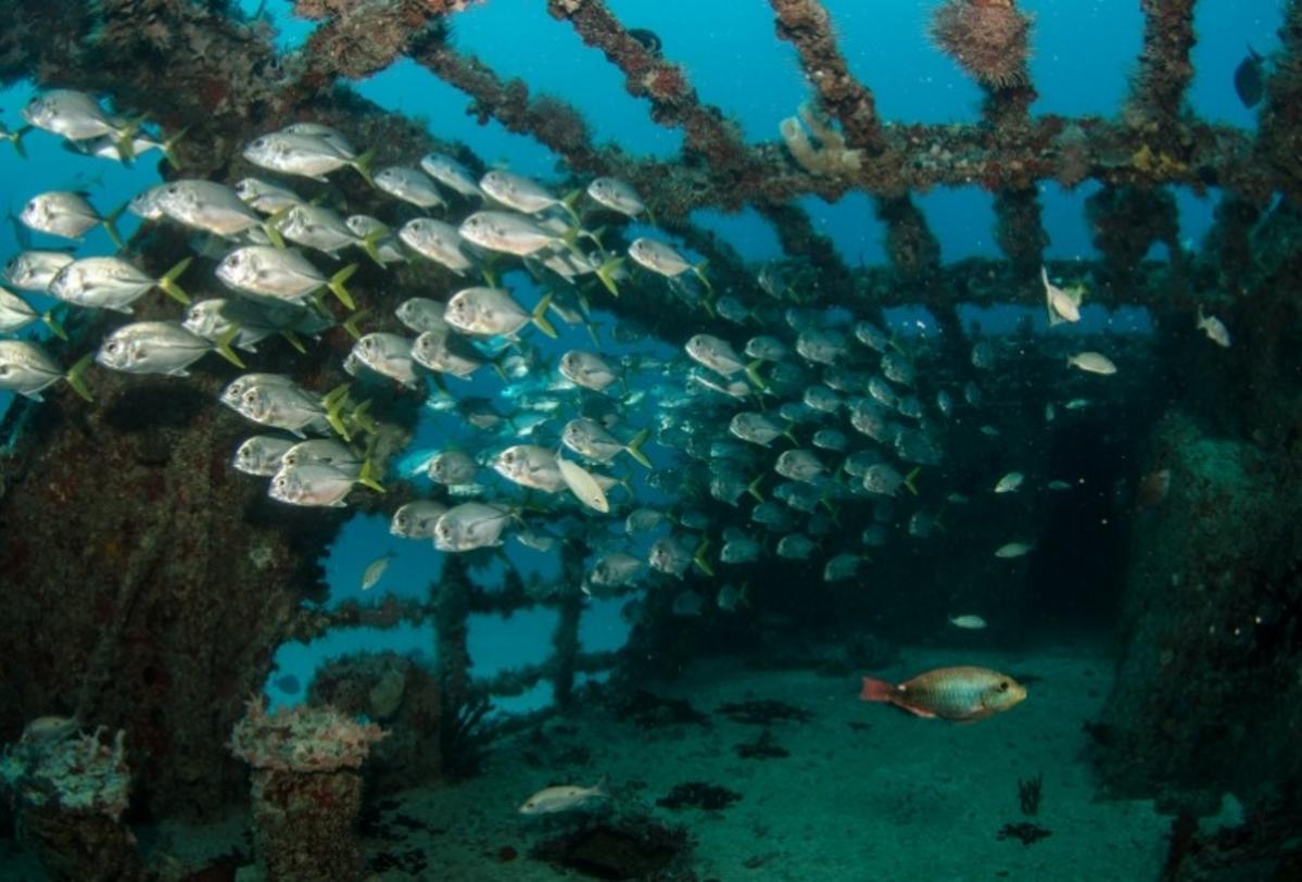 "Historic:" New York State Officially Has An 'Underwater Park'