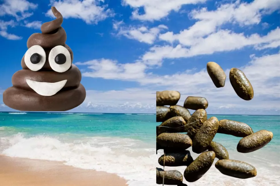 Report: These New York Beaches Have High Levels Of Poop