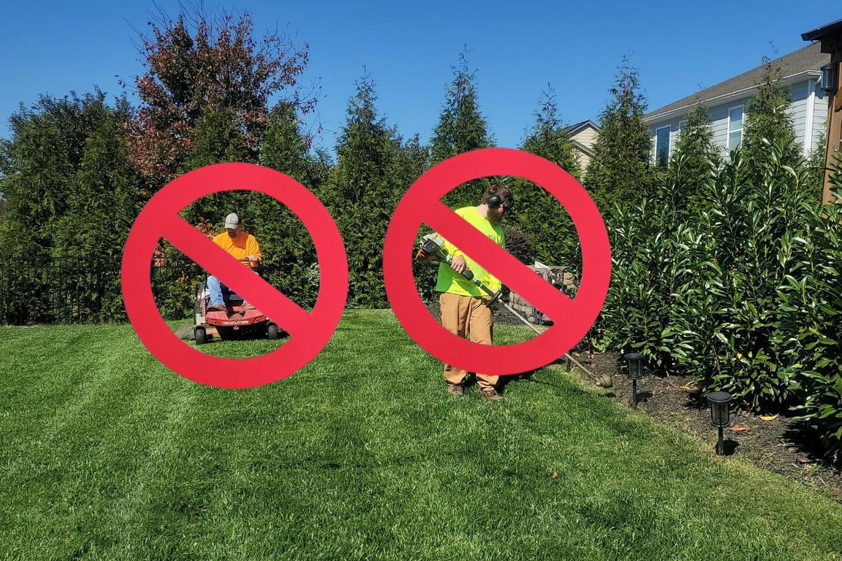 These Lawn Mowers Could Be Banned Across New York State