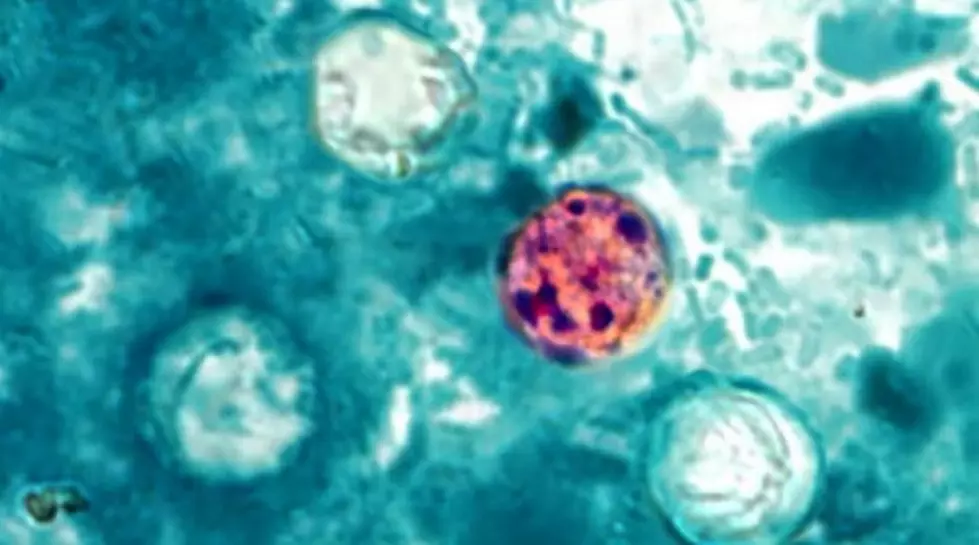 Health Experts Puzzled By New Yorkers With “Explosive” Diarrhea