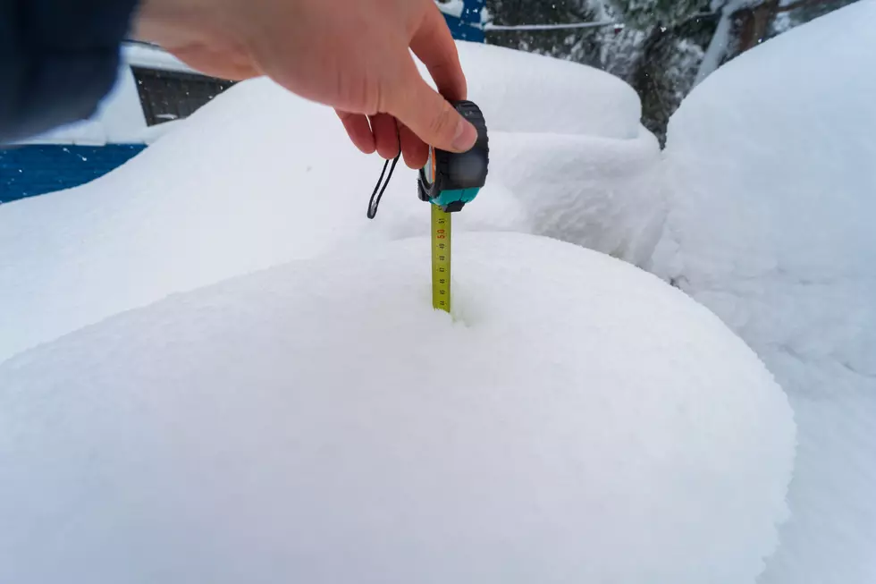 New York Could See “Strongest” Winter In A Decade