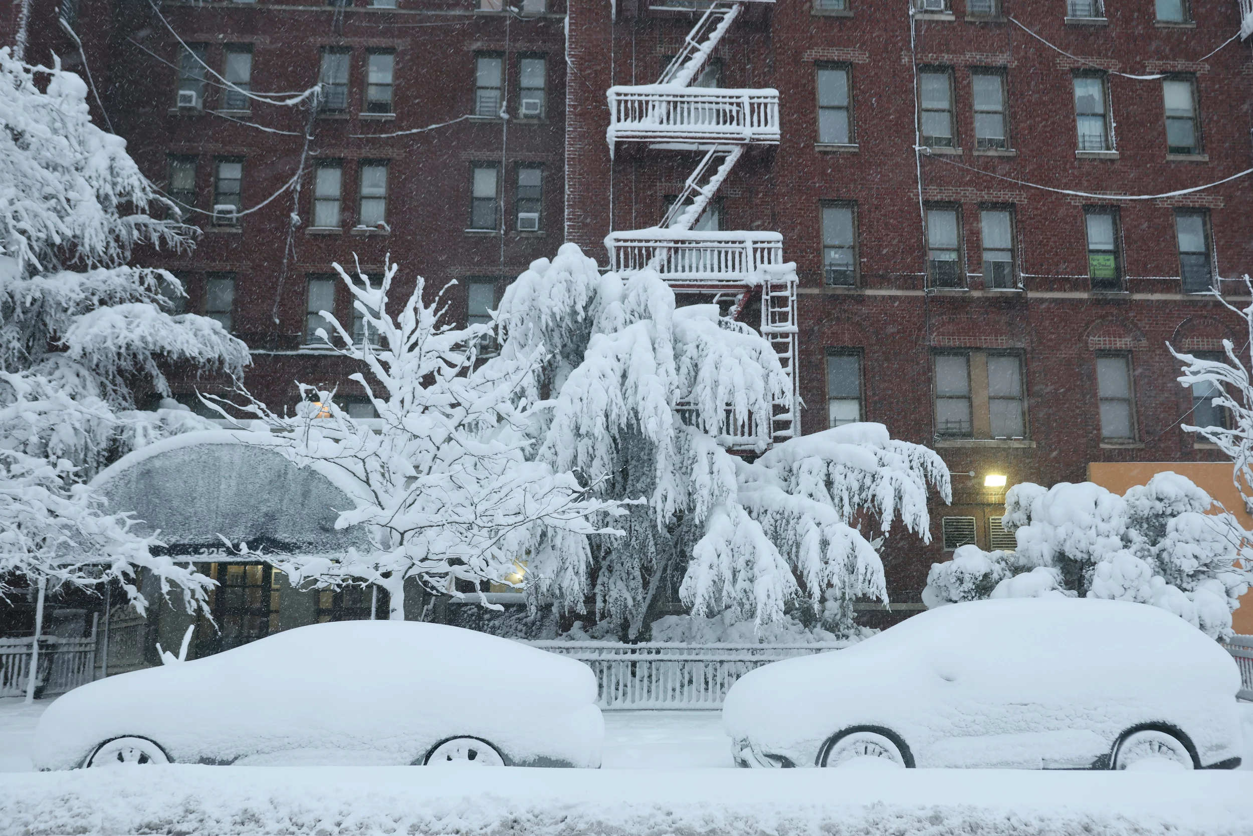 Super El Niño threatens to push Earth's temperature 13 years ahead of warming trend; New York braces for significant snow as NOAA sees 90% chance of 'very strong' event