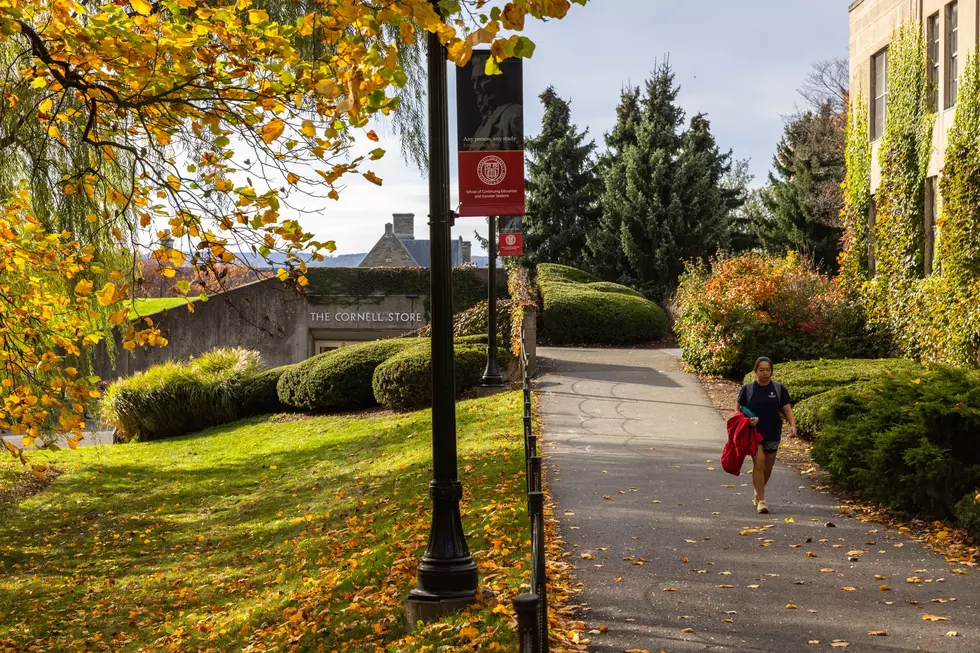 Upstate New York Cornell Lawsuit Names 7 Fraternity Members