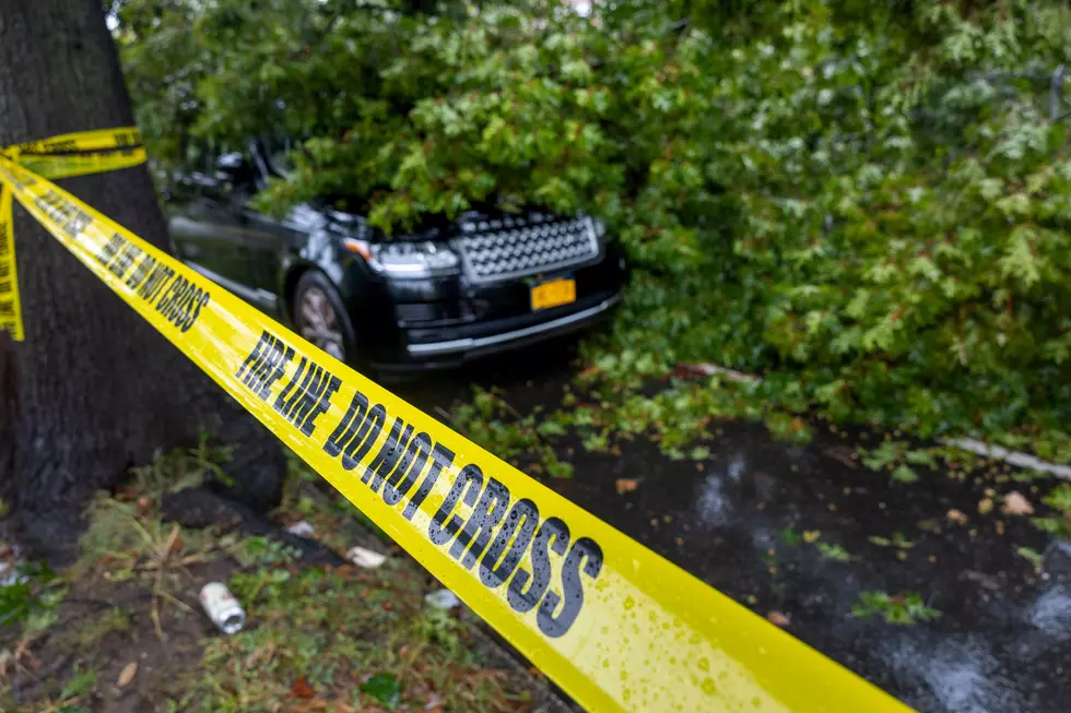 Why The Hudson Valley Dodged Nor’easter’s Worst, 80 Degrees Ahead