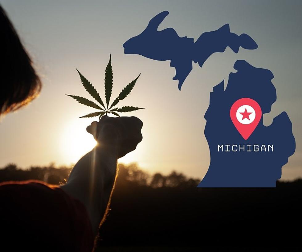 Is Kalamazoo&#8217;s Community Being Reshaped By The Recent Influx Of Cannabis Companies?