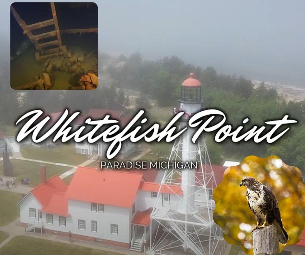 Shipwrecks, Birds, and More OH MY; Whitefish Point Has It All