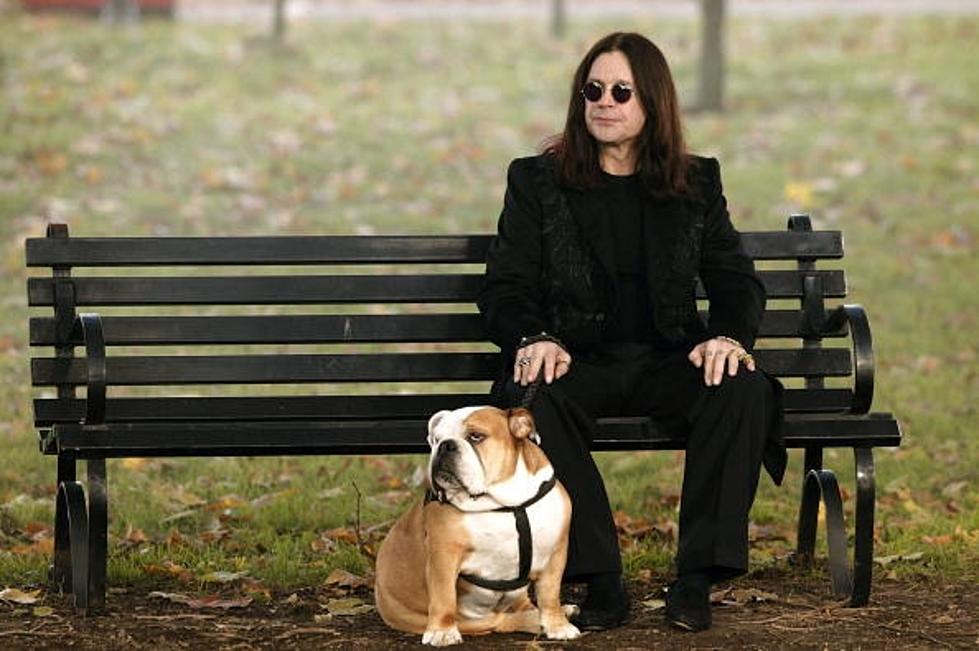 Ozzy Osbourne Spends 10K On Puppy At Auction