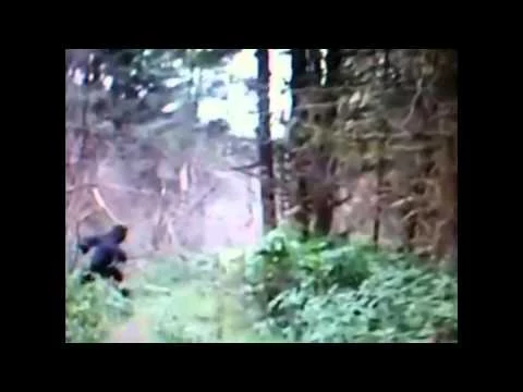 Bigfoot in Ohio?