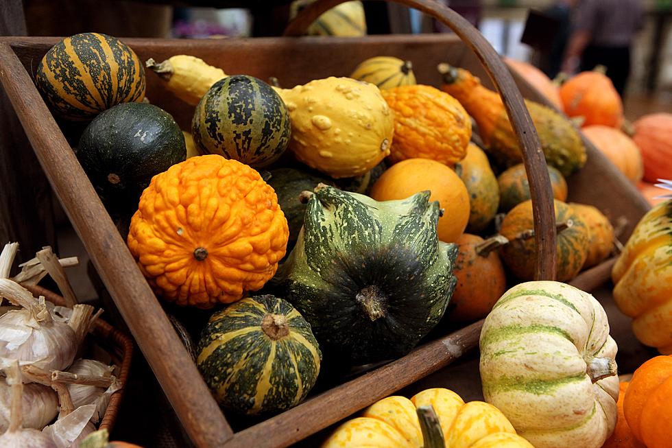 3rd Annual Michigan Festival of Gourds This Weekend