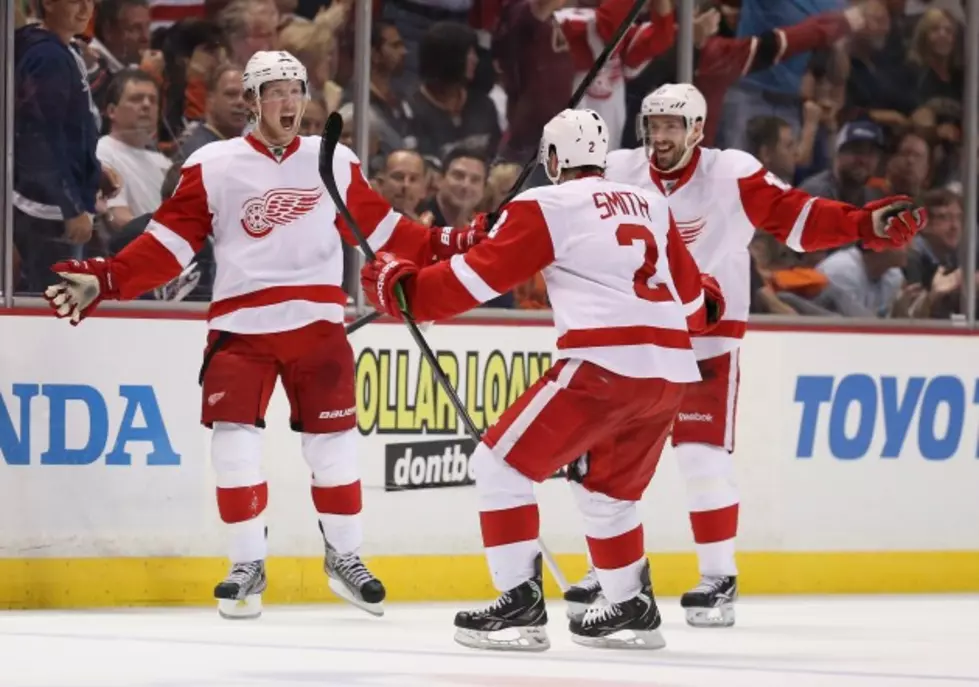 Red Wings Move On In The Playoffs