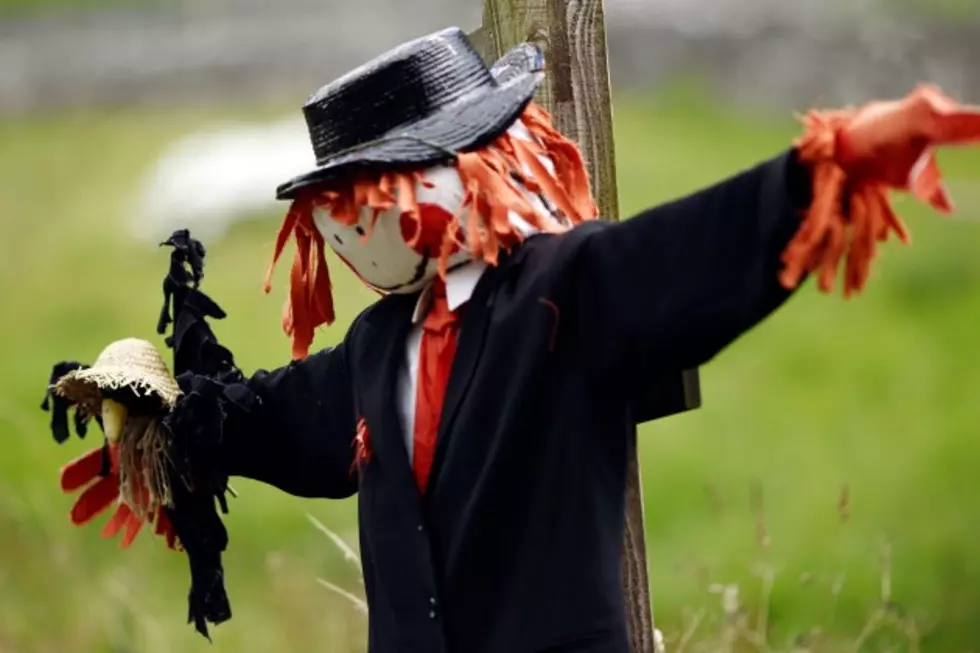Imlay City Looking For Scarecrows