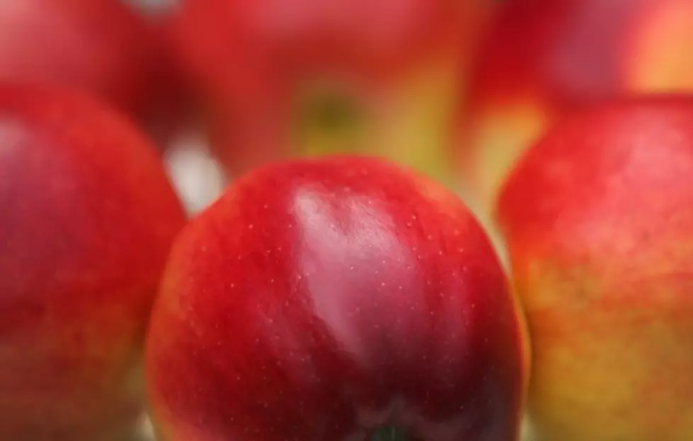 Apple Dumpling Sale At Imlay City Christian