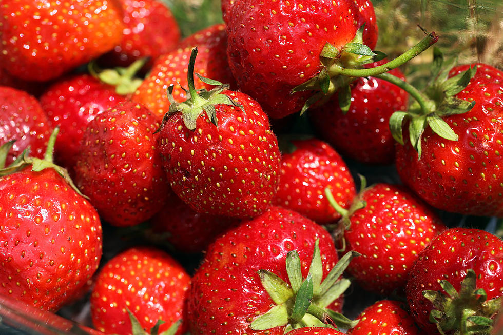 Make Plans To Celebrate Michigan Strawberries In Lapeer