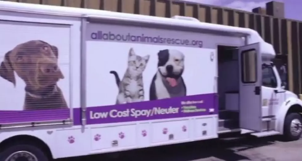 Here’s How To Get High Quality, Low Cost Veterinary Services For Your Pet [VIDEO]