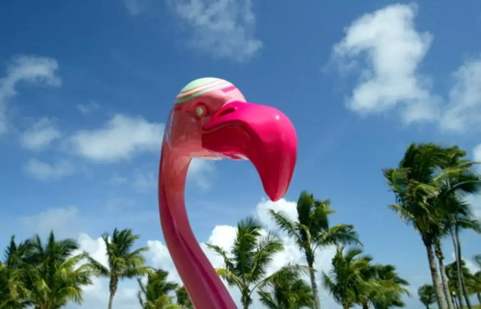 Iconic Plastic Pink Flamingo Sculptor Dies