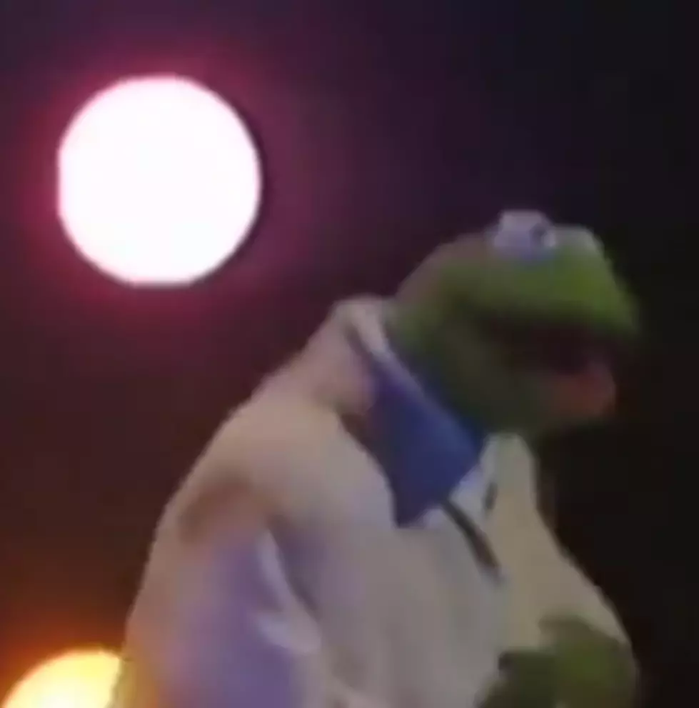 Watch as Kermit the Frog does The Talking Heads [VIDEO]