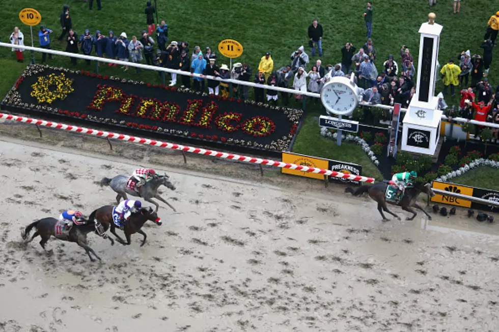Exaggerator Upsets Nyquist, Two Horses Die At Pimlico [VIDEO]