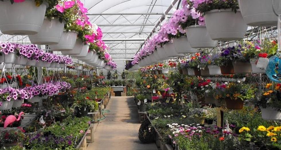 Tri County Farms Greenhouse Open House