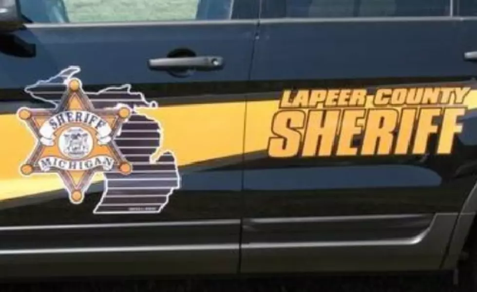 Man Fended-Off By Lapeer County 11-Year-Old With Shotgun Gets Prison Time