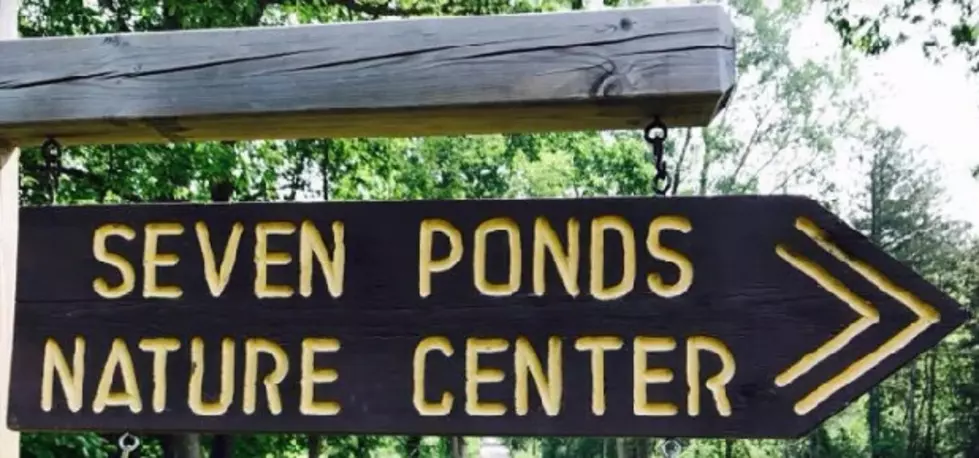 Golden Anniversary For Seven Ponds Nature Center