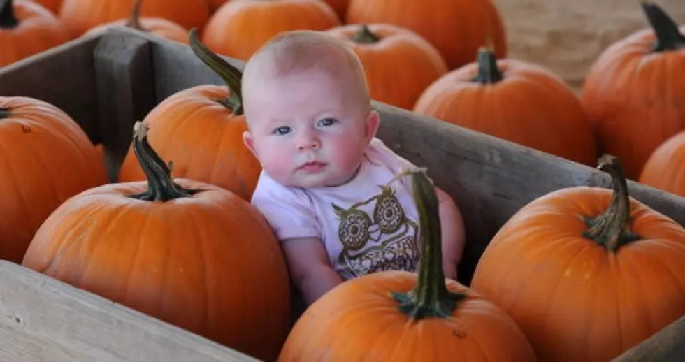 Lapeer’s Pumpkin Fest And Treat Walk