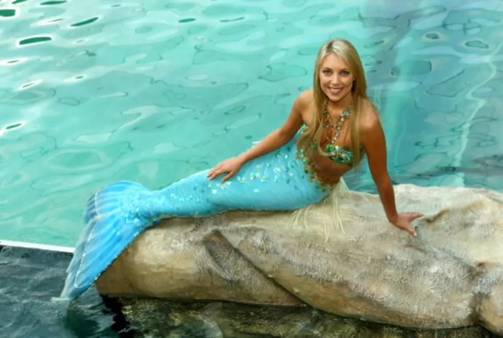 Here's Your Chance To Be A Mermaid