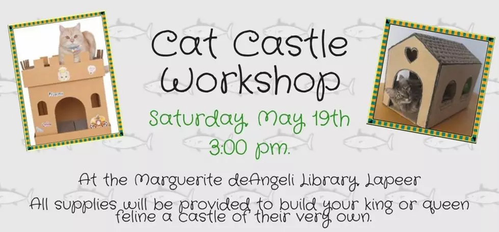 Cat Castle Workshop at the deAngeli Library