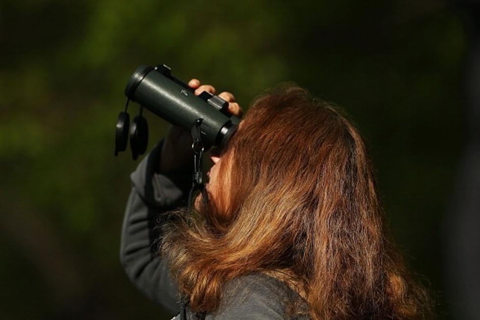 Spring Bird Walks At Seven Ponds