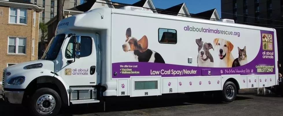 Affordable Spay/Neuter Transport Van in Metamora, Imlay City, Lapeer