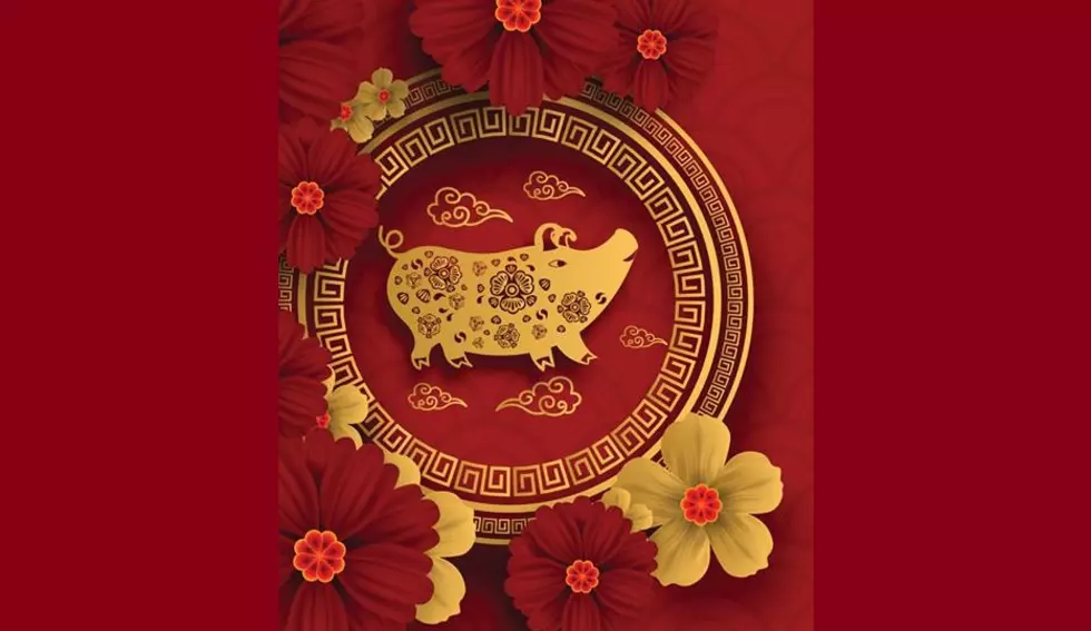 How To Celebrate Chinese New Year & The Year of The Pig