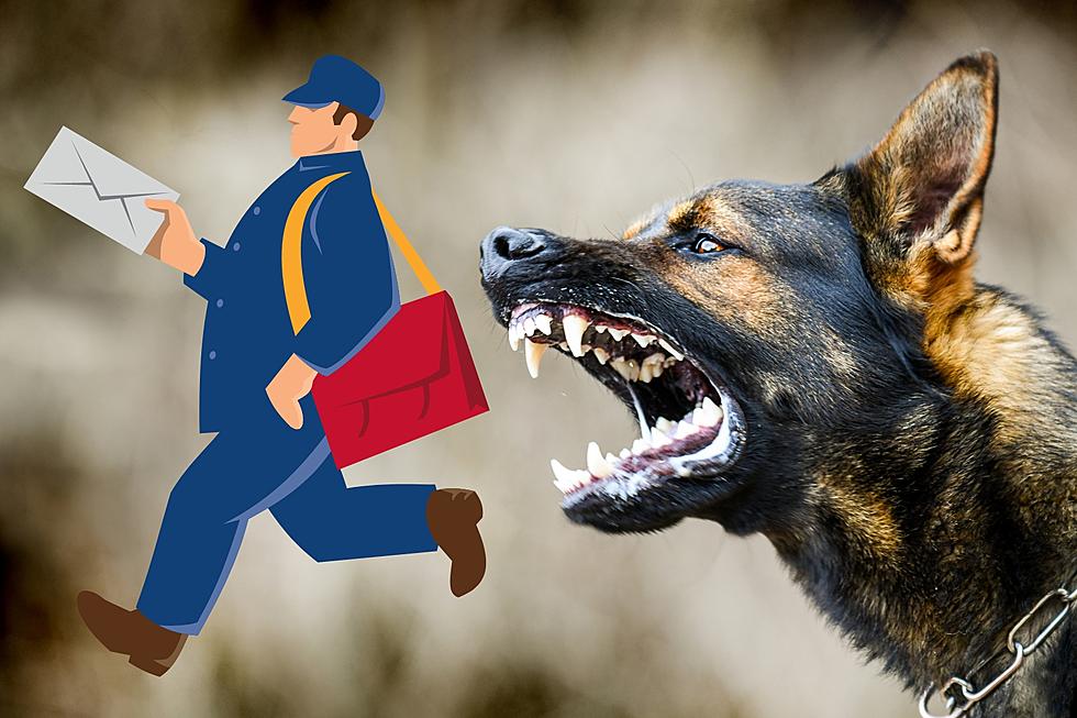 Michigan Ranks High in Most Dog Attacks on Postal Workers in U.S.