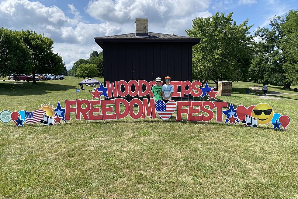 Lapeer Freedom Fest Uplifts Local Community for Another Year