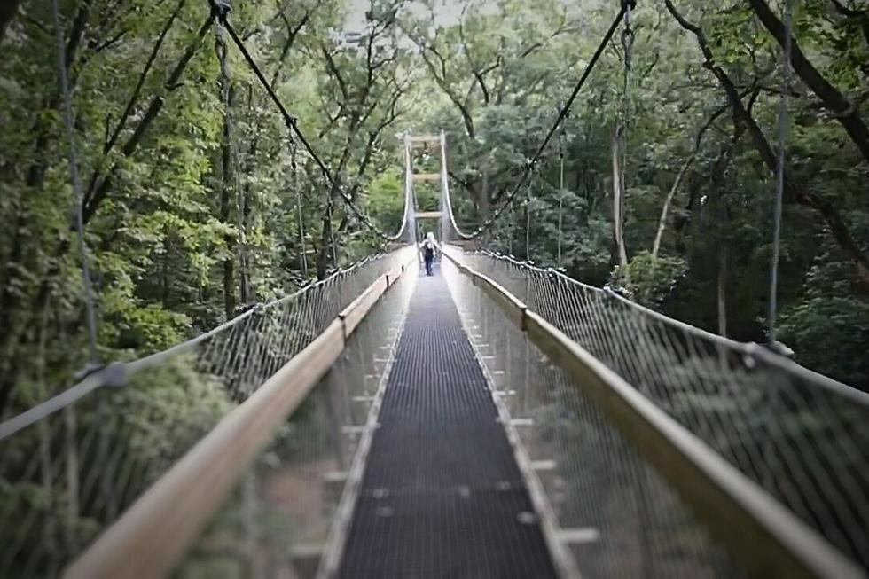 Don’t Miss Out on Michigan’s Epic 65-Foot-High Canopy Walk